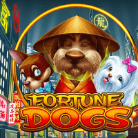 Fortune Dogs